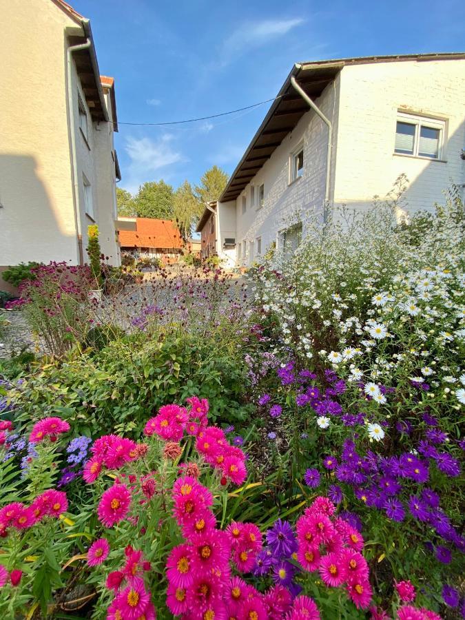 Ferienwohnung Riese Nordhessen Felsberg Екстериор снимка